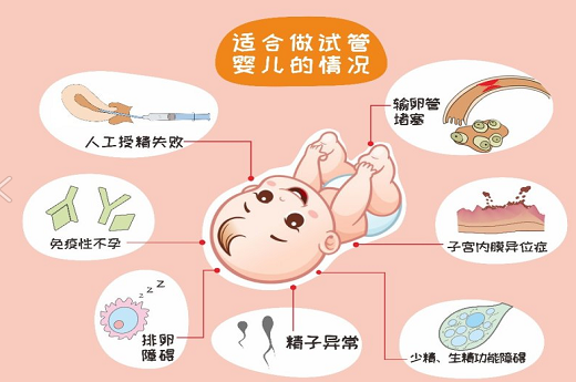 失独家庭试管婴儿流程与注意事项指南